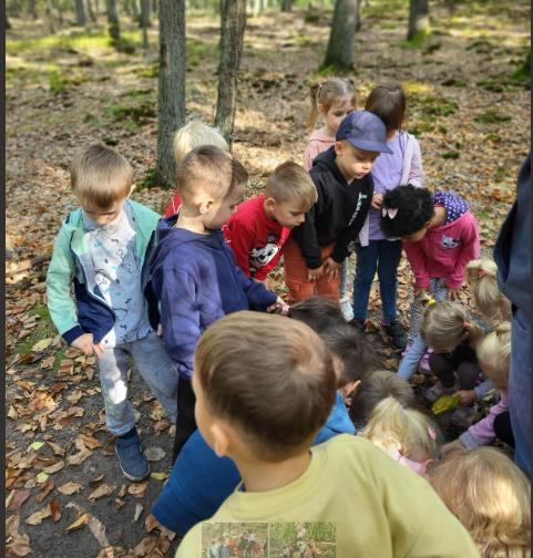 dzieci w lesie ogladają przyrodę