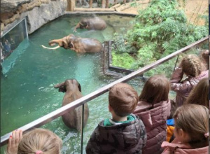 Wycieczka do Orientarium