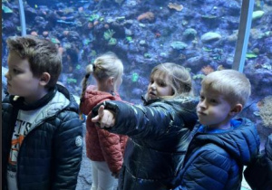 Dzieci oglądają ryby w przeszklonym tunelu.