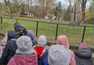 Dzieci oglądają żyrafy na wybiegu.