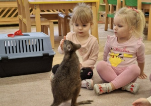 dzieci głaszczą i obserwują kangura.