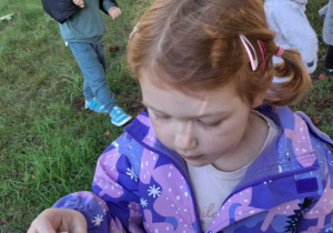 Dzieci zbierają kasztany