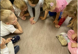 Dzieci siedzą w kole, a miedzy nimi spaceruje jeż
