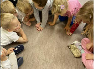 Warsztaty przyrodnicze z cyklu Odlotowe pokazy