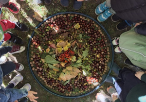 jesienna mandala z darów przyrody