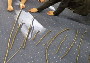 dzieci porównują długości patyczków